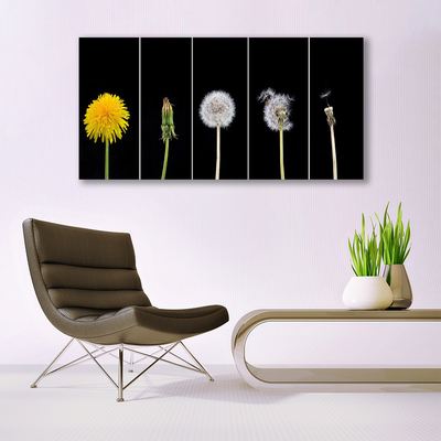 Glasfoto Dandelion Plant