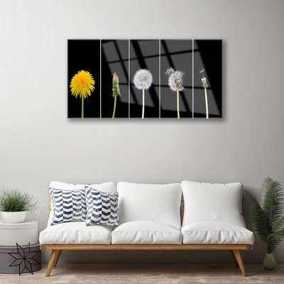 Glasfoto Dandelion Plant