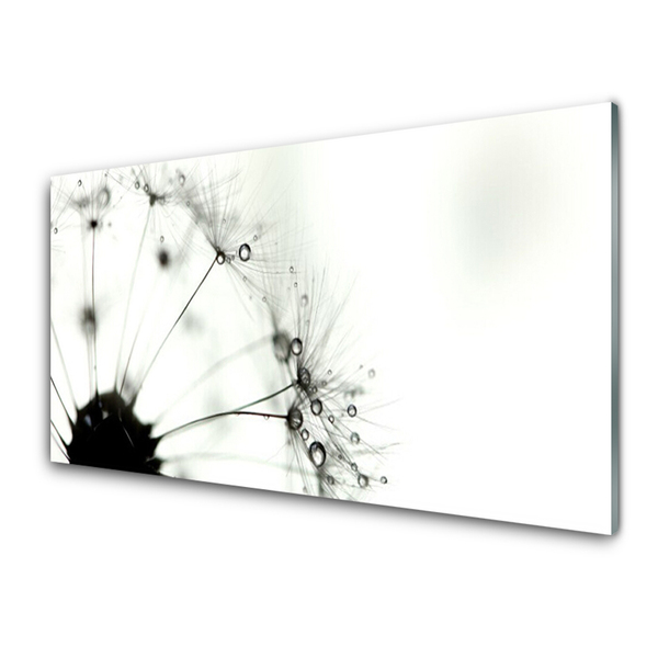 Billede glas Dandelion Plant