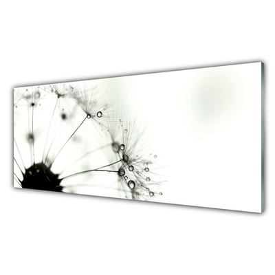 Billede glas Dandelion Plant