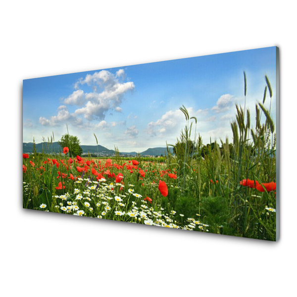 Glasfoto Engblomster Natur Plante