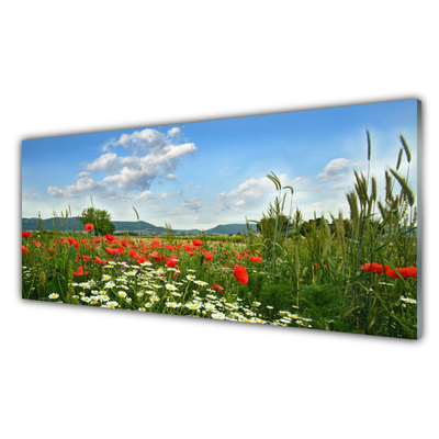 Glasfoto Engblomster Natur Plante