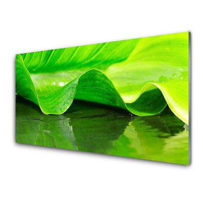 Glas billede Blad Natur Plante