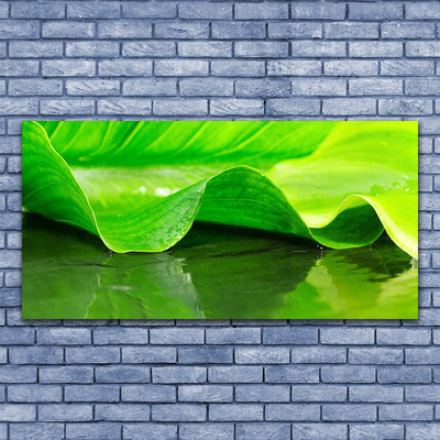 Glas billede Blad Natur Plante