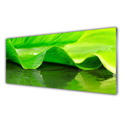 Glas billede Blad Natur Plante