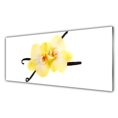 Billede glas Blomster Plante Natur