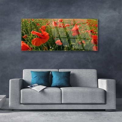 Glasfoto Poppies Nature Plant