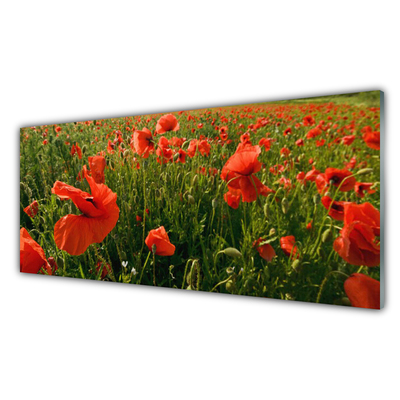 Glasfoto Poppies Nature Plant