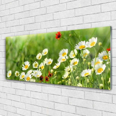 Billede i glas Daisy Plants Nature