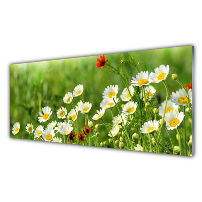 Billede i glas Daisy Plants Nature