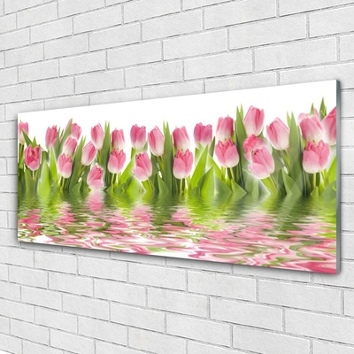 Billede glas Tulipaner Planter Natur