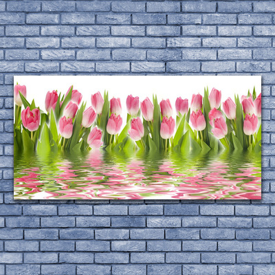 Billede glas Tulipaner Planter Natur