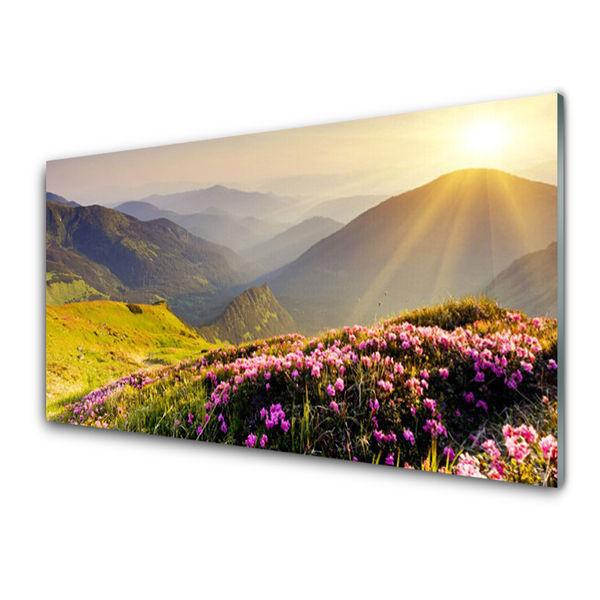 Glasfoto Mountain Meadow Landscape