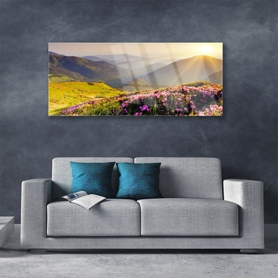 Glasfoto Mountain Meadow Landscape