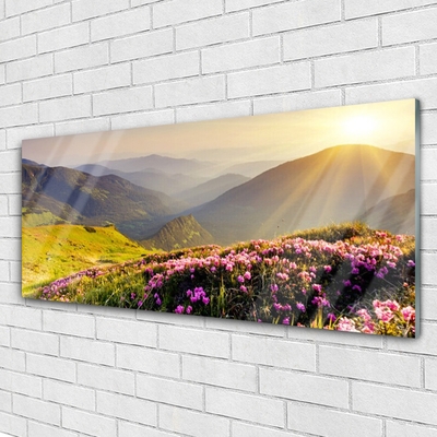 Glasfoto Mountain Meadow Landscape