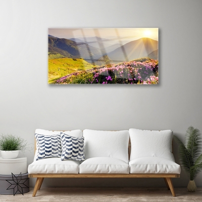 Glasfoto Mountain Meadow Landscape