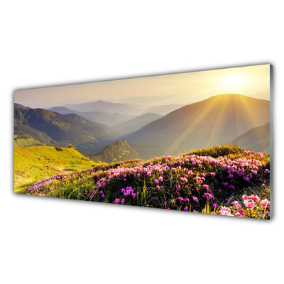 Glasfoto Mountain Meadow Landscape