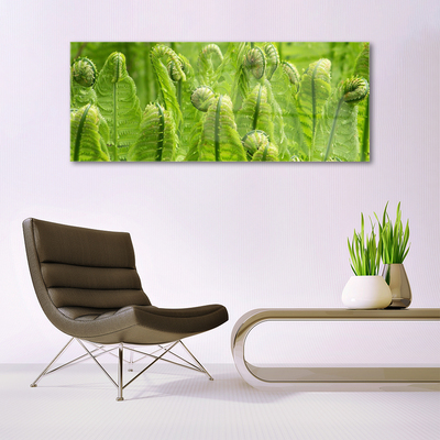 Billede glas Plante Natur