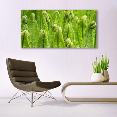 Billede glas Plante Natur