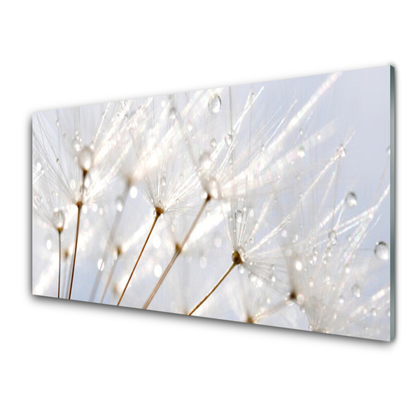 Glas billede Dandelion Plant