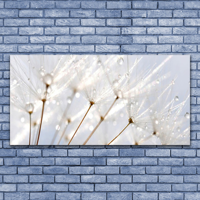 Glas billede Dandelion Plant