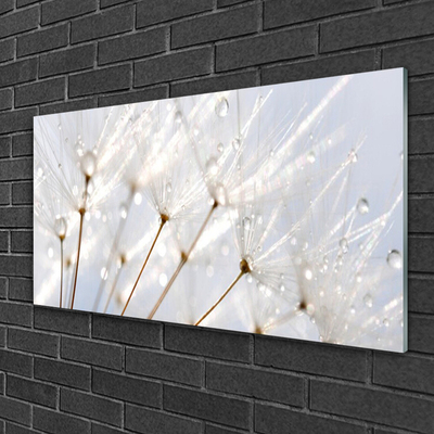 Glas billede Dandelion Plant