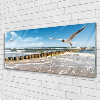 Billede glas Seagulls Landscape