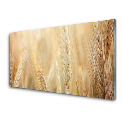 Billede i glas Wheat Nature Plant