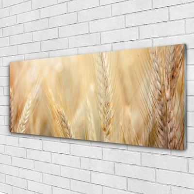 Billede i glas Wheat Nature Plant