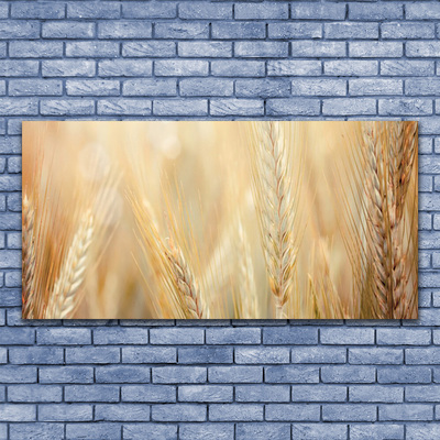 Billede i glas Wheat Nature Plant