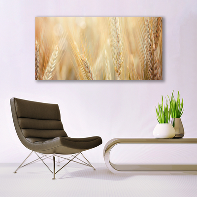 Billede i glas Wheat Nature Plant