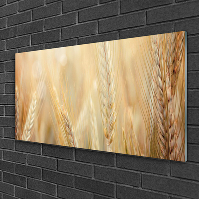 Billede i glas Wheat Nature Plant