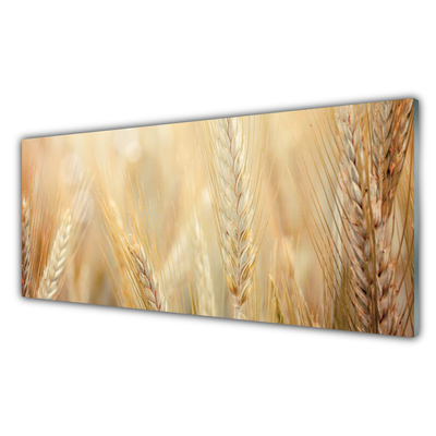 Billede i glas Wheat Nature Plant