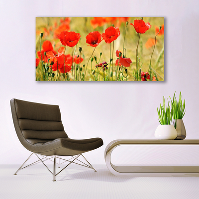 Print på glas Poppies Nature Plant