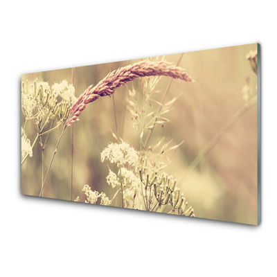 Glasfoto Vilde planter Natur