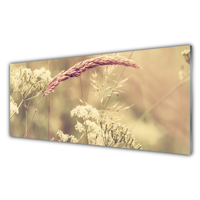 Glasfoto Vilde planter Natur