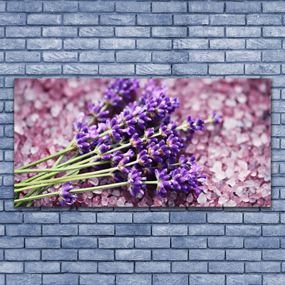 Billede på glas Blomster Plante Natur