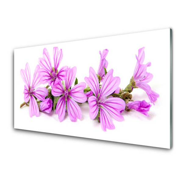 Billede glas Blomster Plante Natur