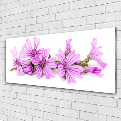 Billede glas Blomster Plante Natur