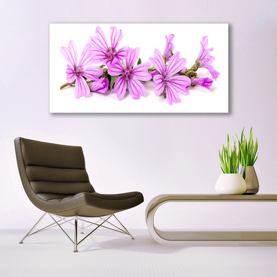 Billede glas Blomster Plante Natur