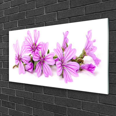 Billede glas Blomster Plante Natur