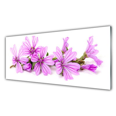 Billede glas Blomster Plante Natur