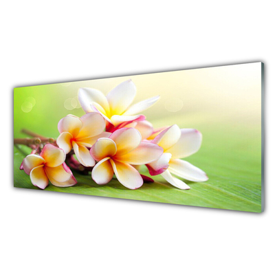 Glasbillede Blomster Planter Natur