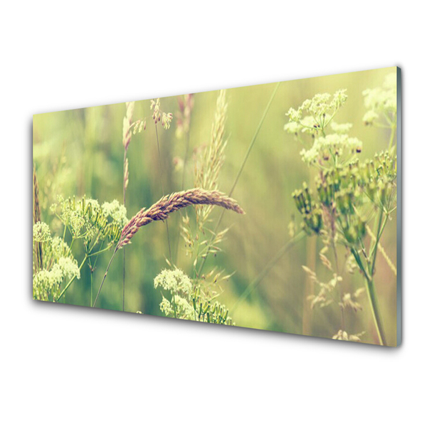 Glasfoto Vilde planter Natur