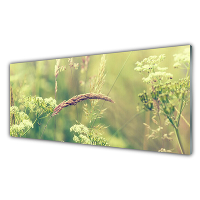 Glasfoto Vilde planter Natur