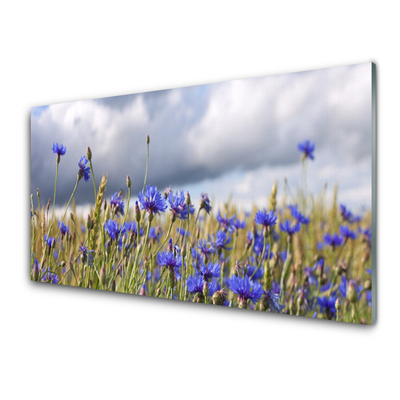 Glasfoto Blomster Planter Natur