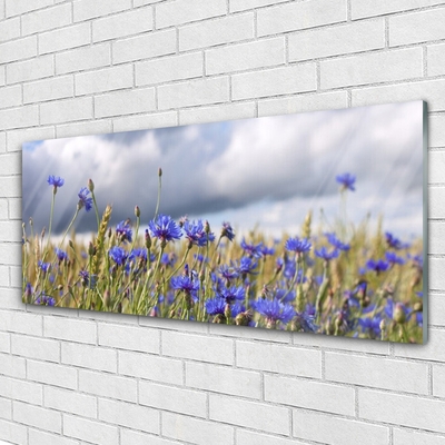 Glasfoto Blomster Planter Natur