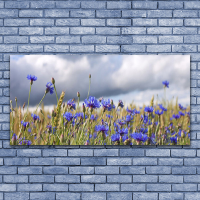 Glasfoto Blomster Planter Natur