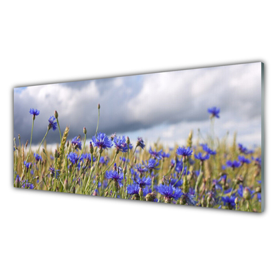 Glasfoto Blomster Planter Natur