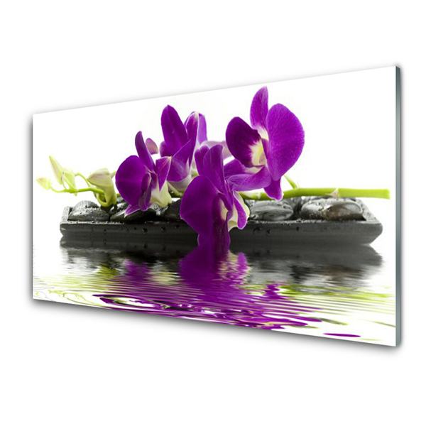 Glas billede Blomster Planter Natur